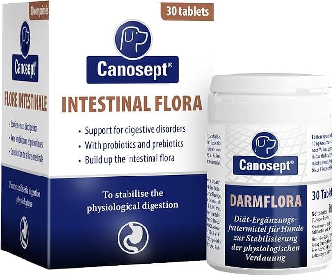 Comprimidos Canosept para la flora intestinal para perros